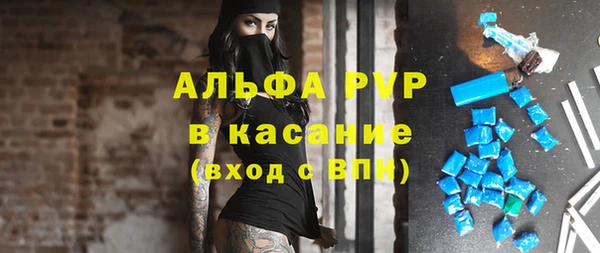 трава Няндома