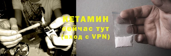 трава Няндома