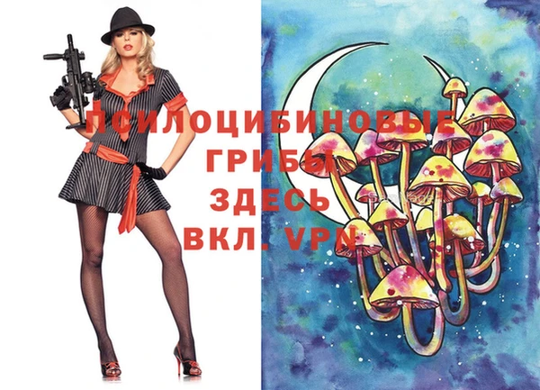 трава Няндома