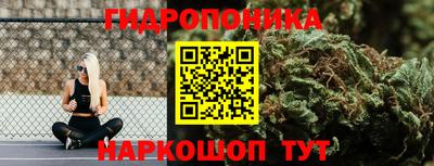 стафф Гусиноозёрск