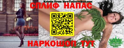 стафф Гусиноозёрск
