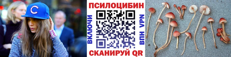 Псилоцибиновые грибы Magic Shrooms Когалым